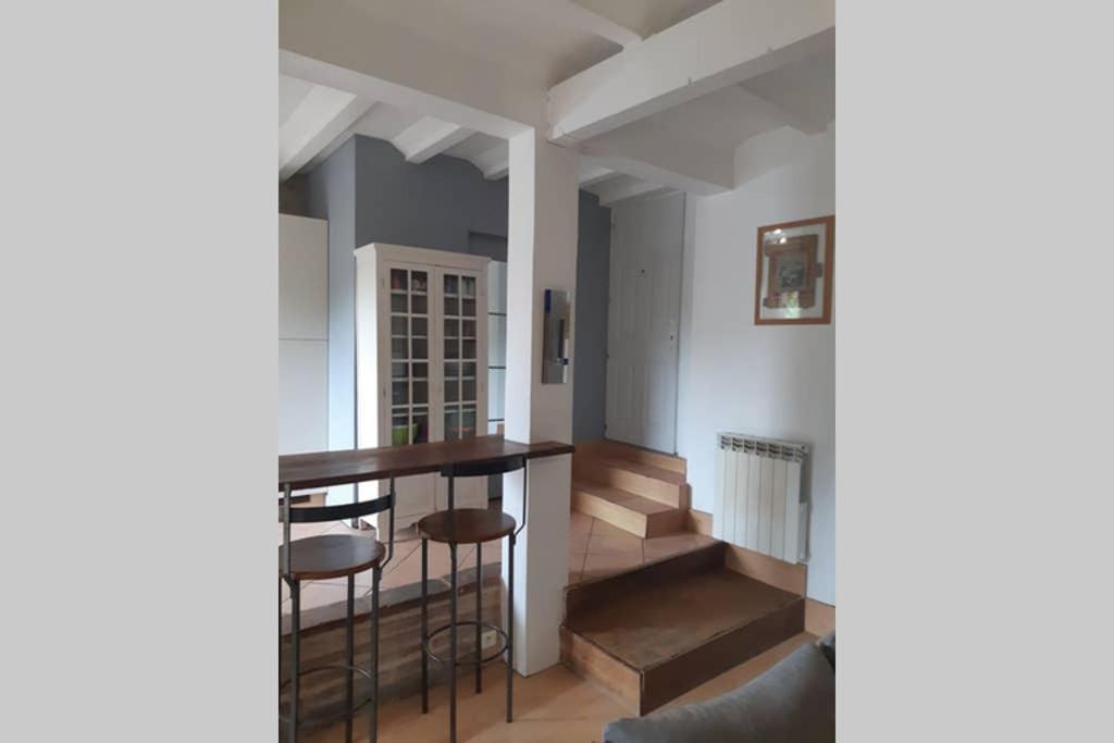 Charmant Appartement Vue Sur La Riviere. Albi Exterior foto